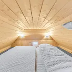 Lovely Home In Ringkobing With Sauna